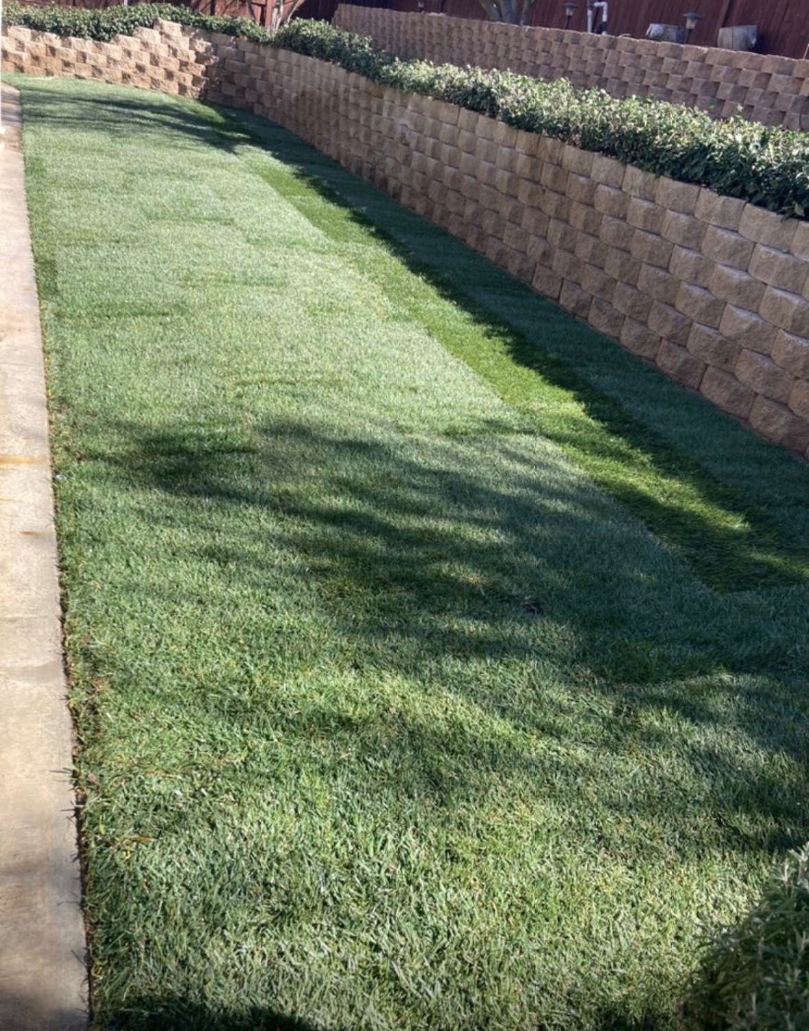 Landscape Design